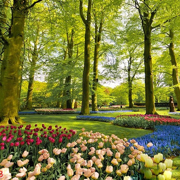 Tranh phong cảnh TPC 03