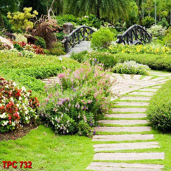 Tranh phong cảnh TPC 732