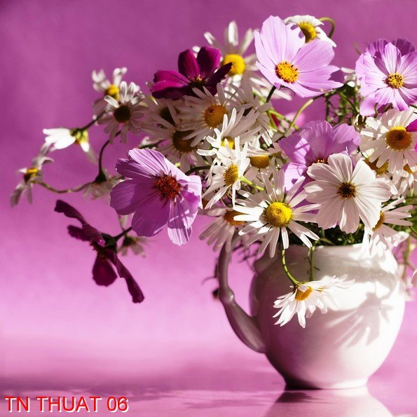 Tranh nghệ thuật TN Thuat 06