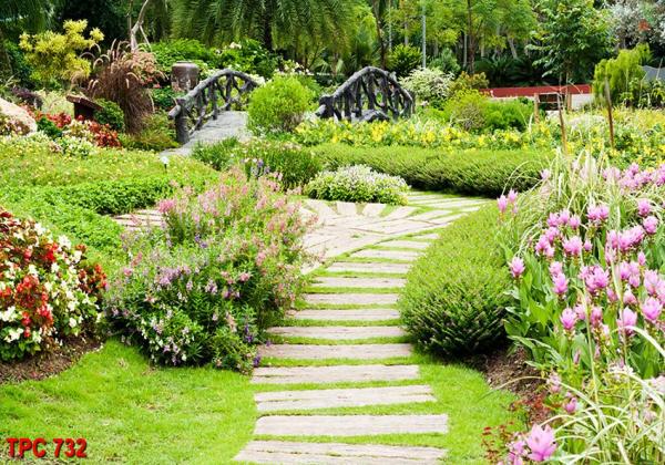 Tranh phong cảnh TPC 732