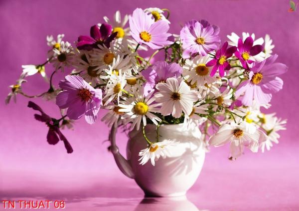 Tranh nghệ thuật TN Thuat 06